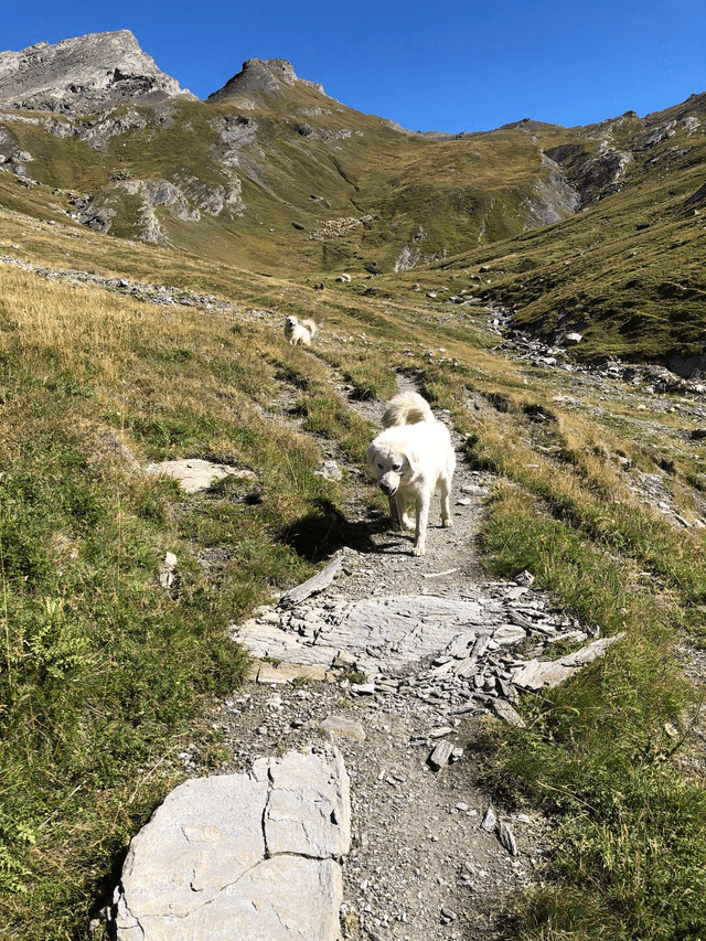 Burro Polpastrelli Naso e Gomiti